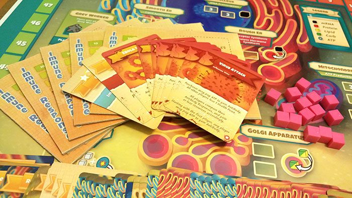 Cytosis expansion