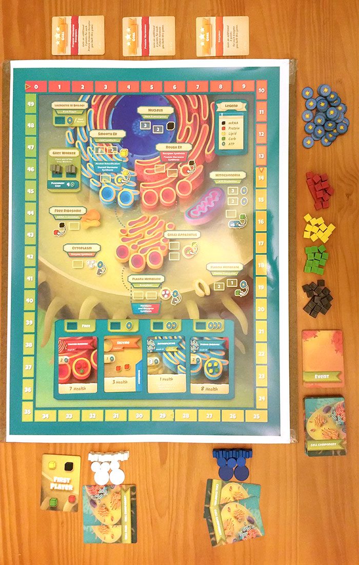 Cytosis setup