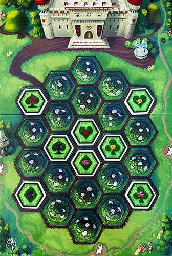 Opening Setup