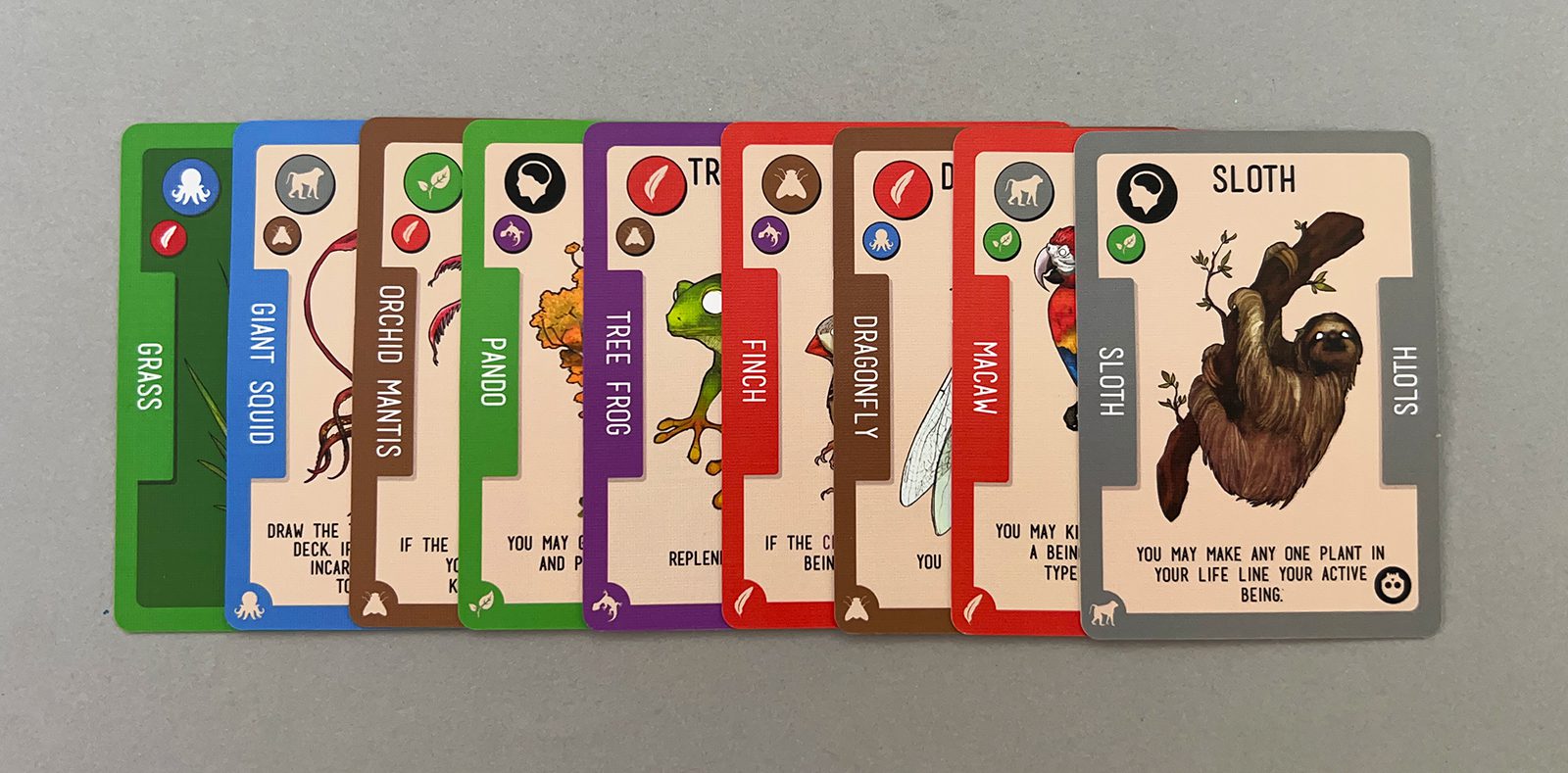 A sample Life Line.